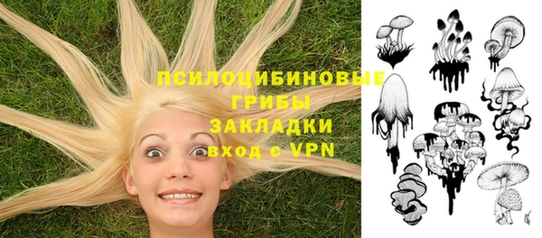 прущие грибы Алексеевка