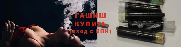 стаф Алзамай
