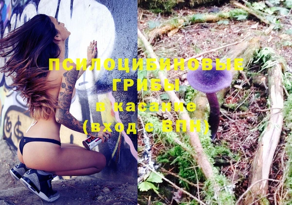 прущие грибы Алексеевка